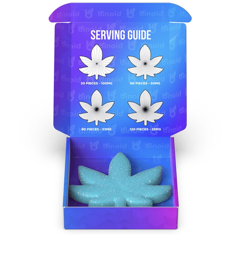 THE BFG PARTY PACK THC GUMMY – BLUEBERRY DELIGHT – 20,000MG – BINOID - Image 2