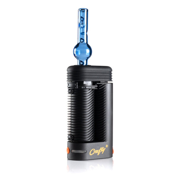 POTV Globe Glass - Image 8